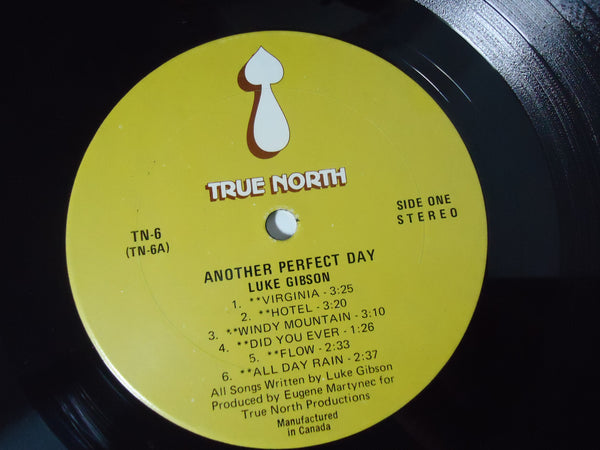 Luke Gibson ‎– Another Perfect Day
