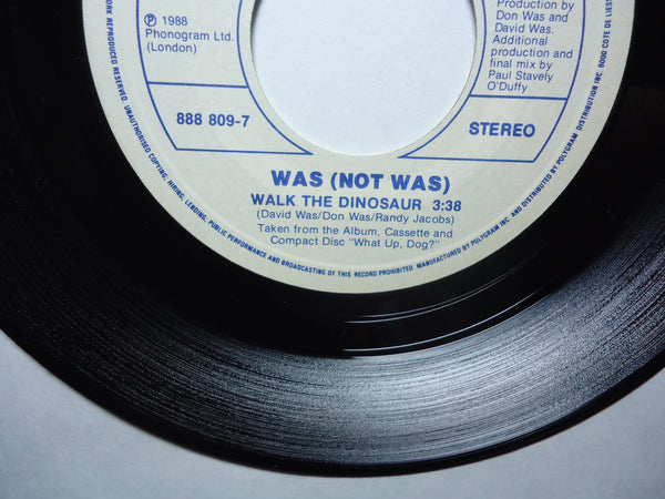 Was (Not Was)  - Walk The Dinosaur [Picture Sleeve]